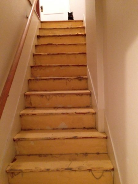 Look! There's Roxy at the top of the stairs.