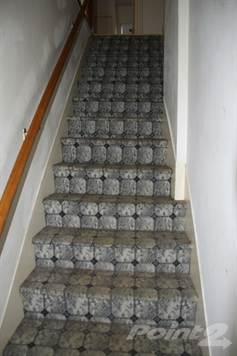 Old carpet on stairs - before