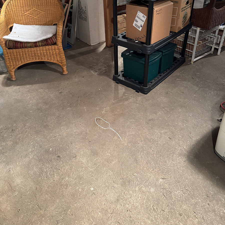 The mysterious dead rat